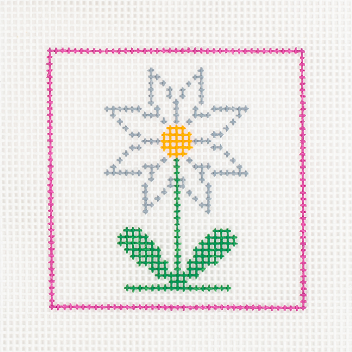 Daisy Kit