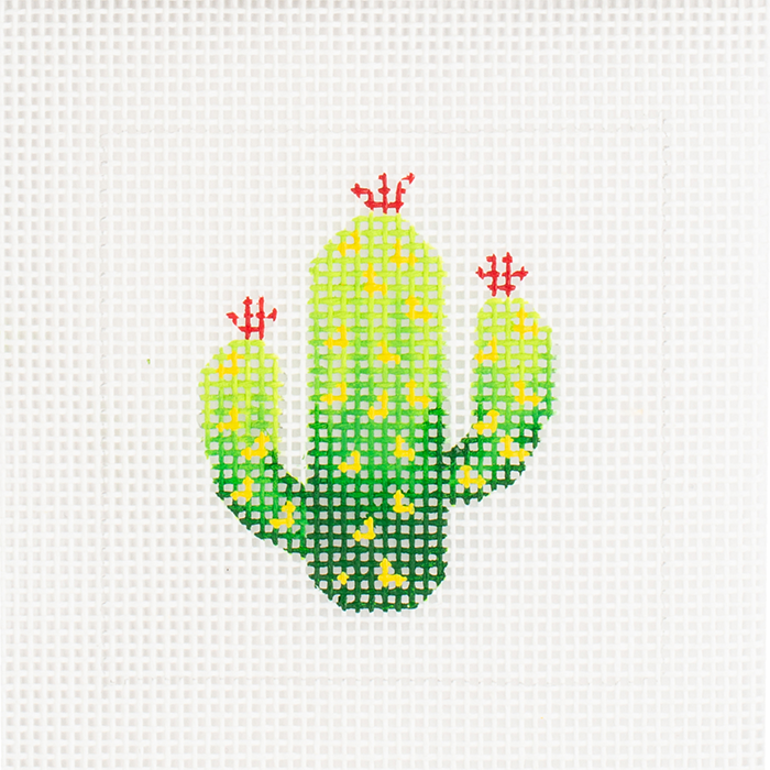 Cactus Beginner Kit