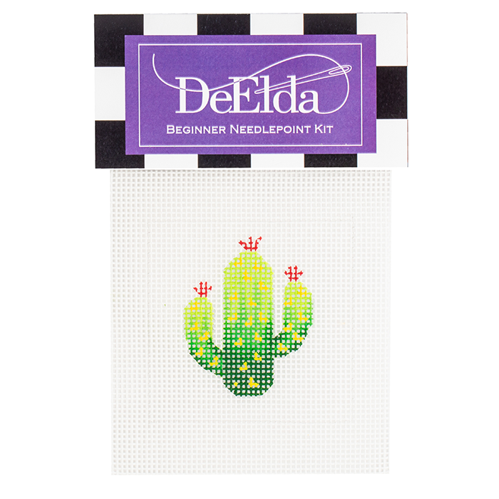 Cactus Beginner Kit