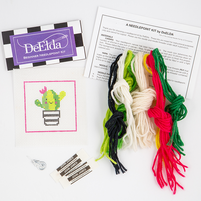 Succulent Beginner Kit