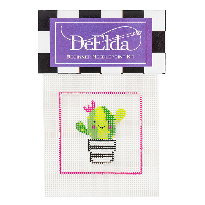 Succulent Beginner Kit