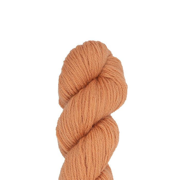 Colonial Persian Yarn - 884 Ginger