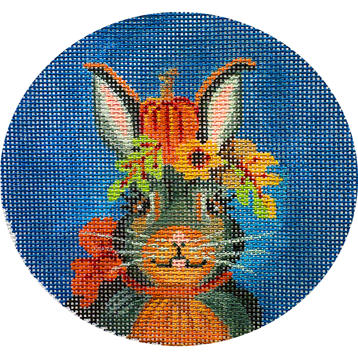 Janie a Halloween Jack Rabbit