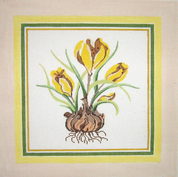 Crocus Botanical