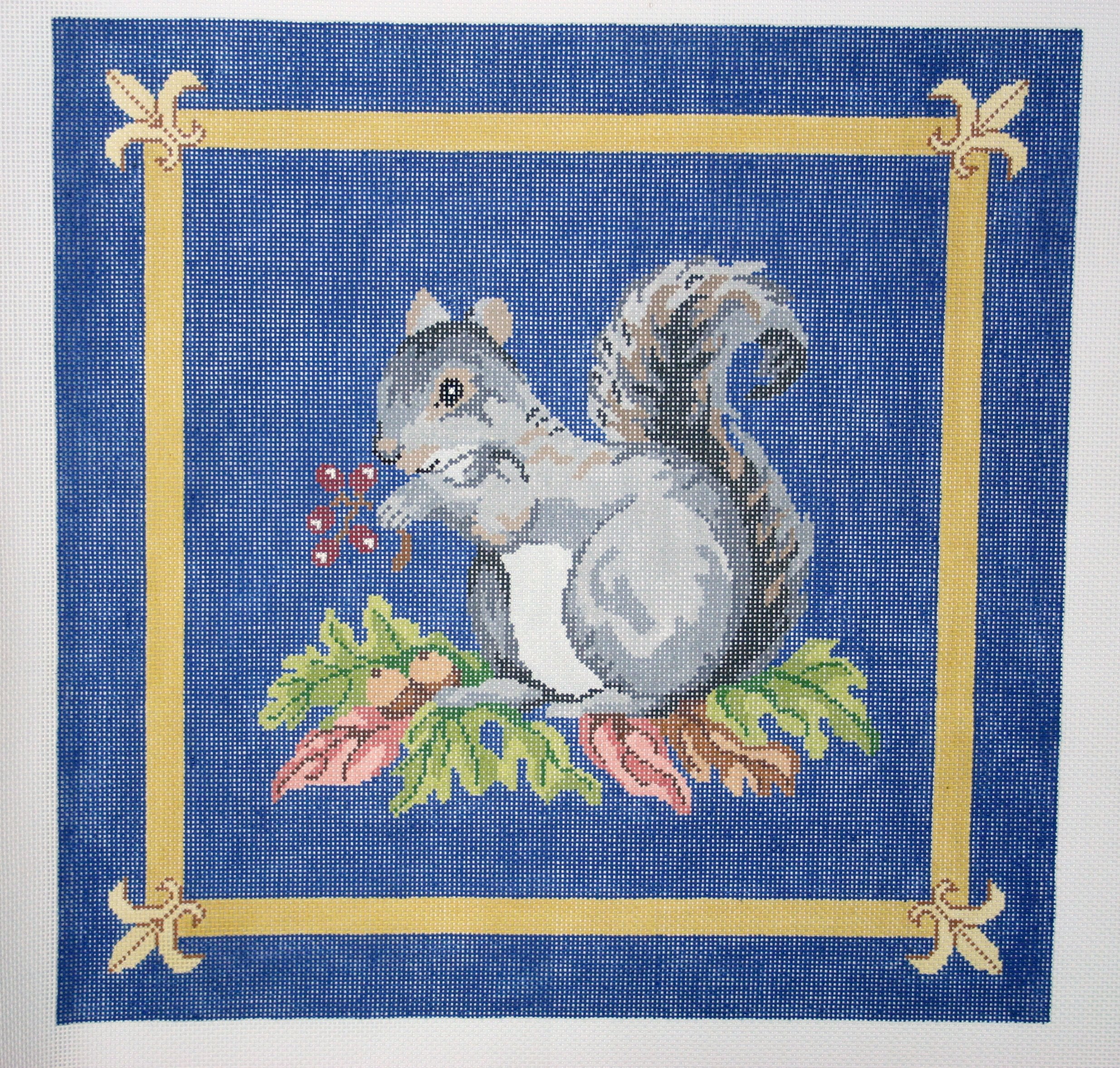 Squirrel