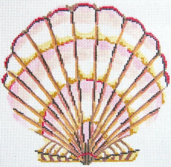 Scallop Shell