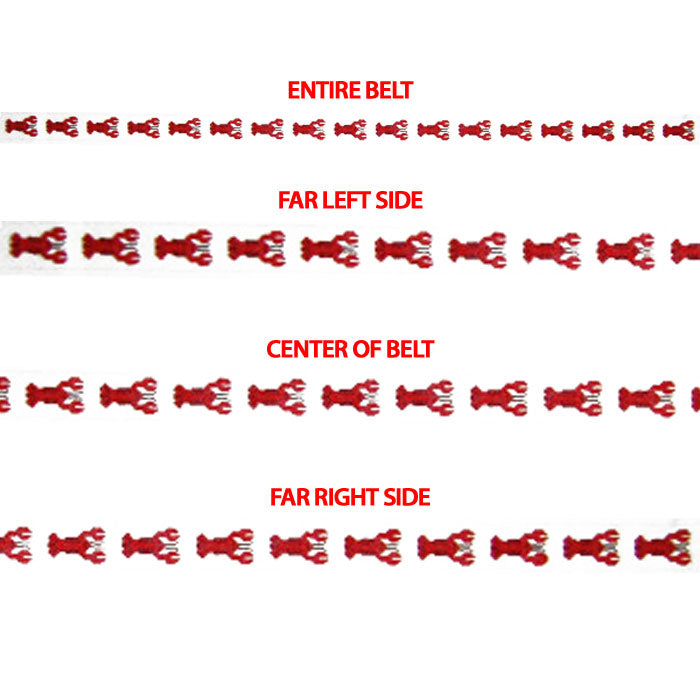 Lobster Belt