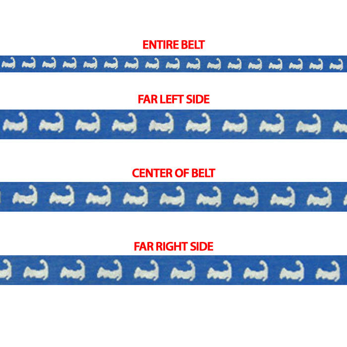 Cape Cod Logo on Blue Belt