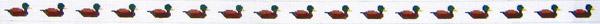 Mallard Duck Belt
