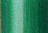 Presencia Perlé Cotton Thread - 9815 Variegated Nile Green