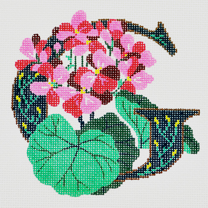 G-Geranium