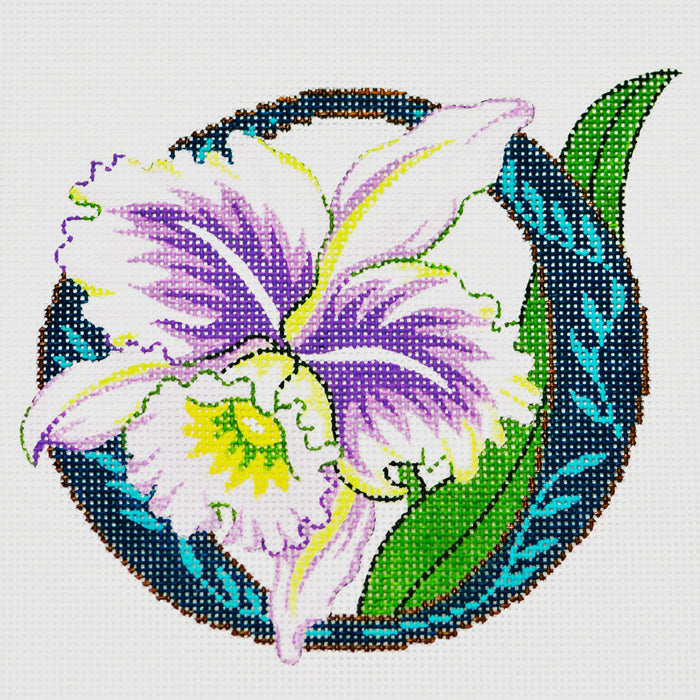 O-Orchid
