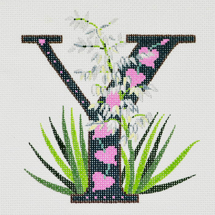 Y-Yucca