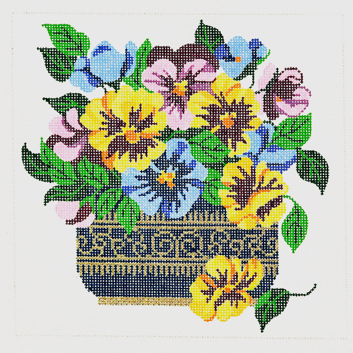 Pansy