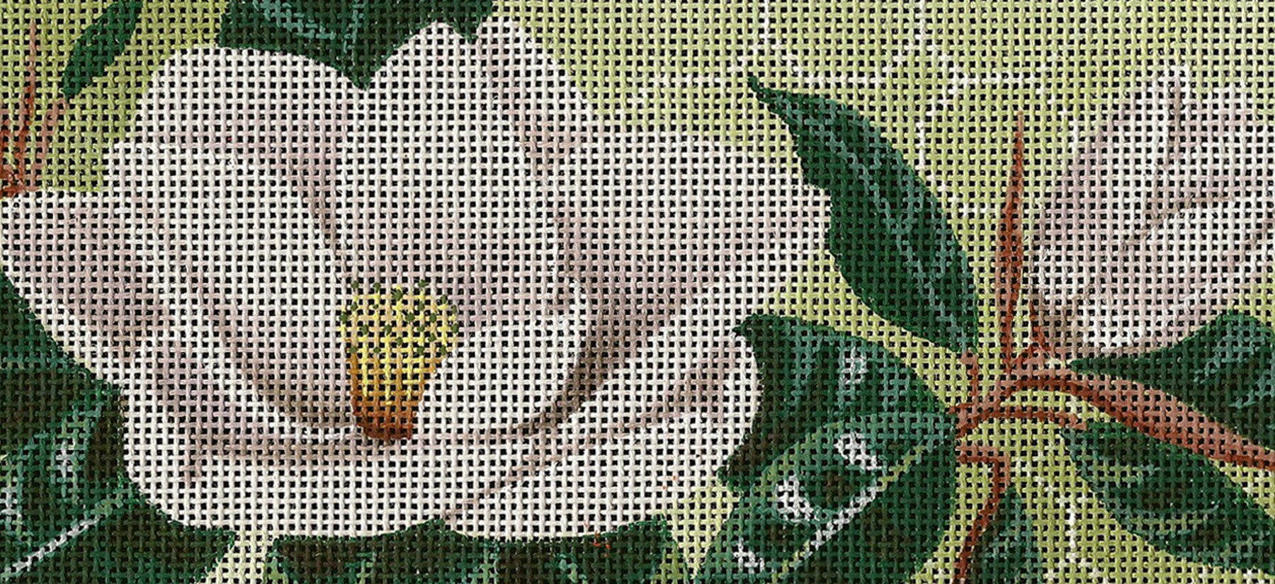 BB76