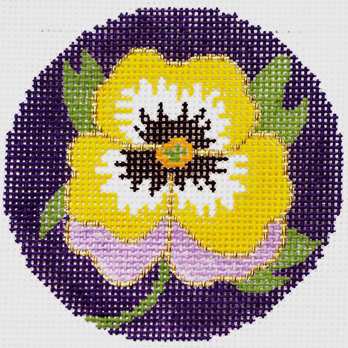 Pansy On Purple