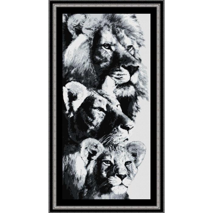 Lion Kingdom Kit