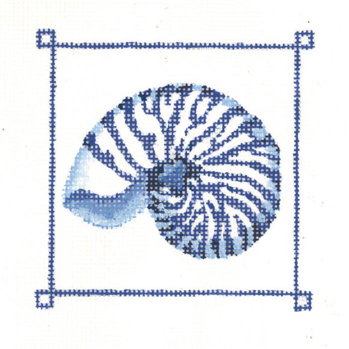 Giant Banded Snail Shell