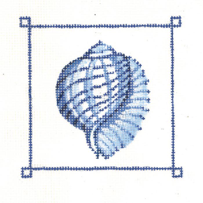 Tiger Chambered Nautilus Shell