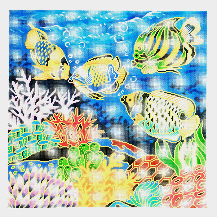 Tropical Fish
