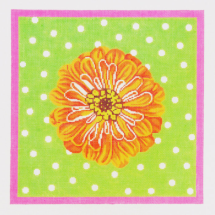 Zinnias on Orange