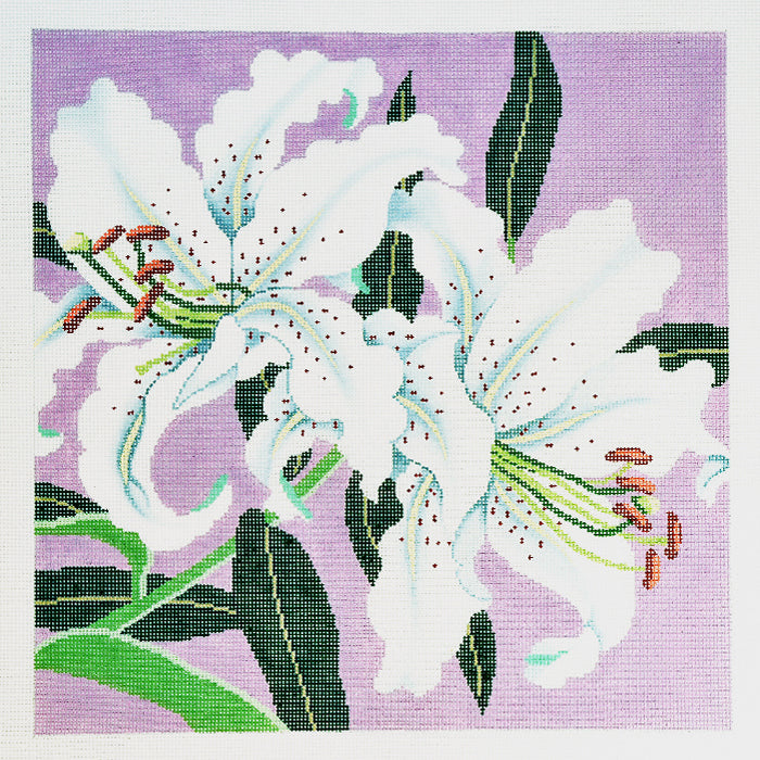 Lily