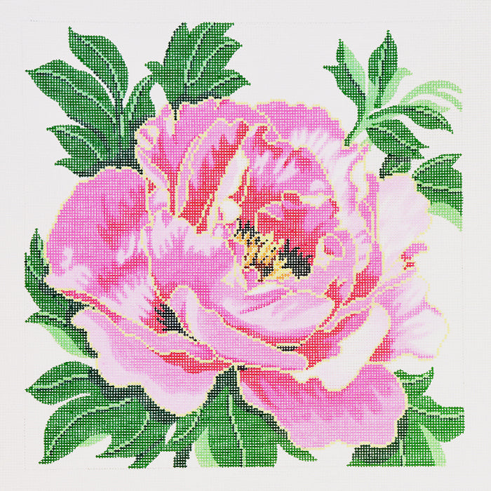 Red Peony