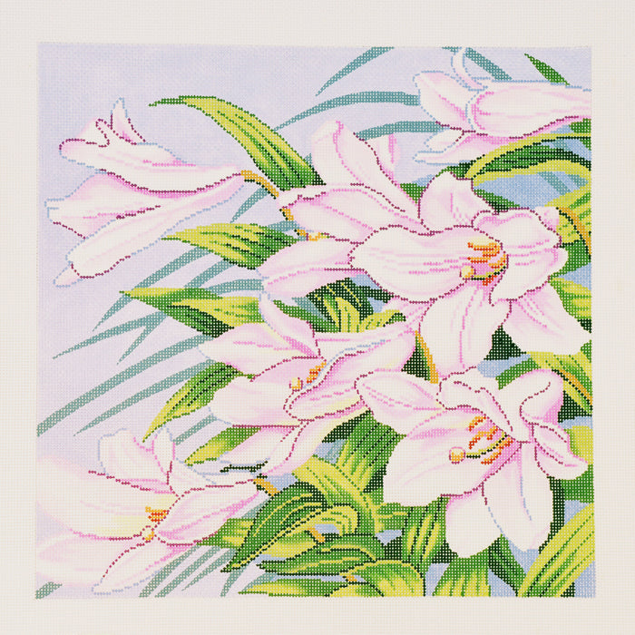 Pink Lilies