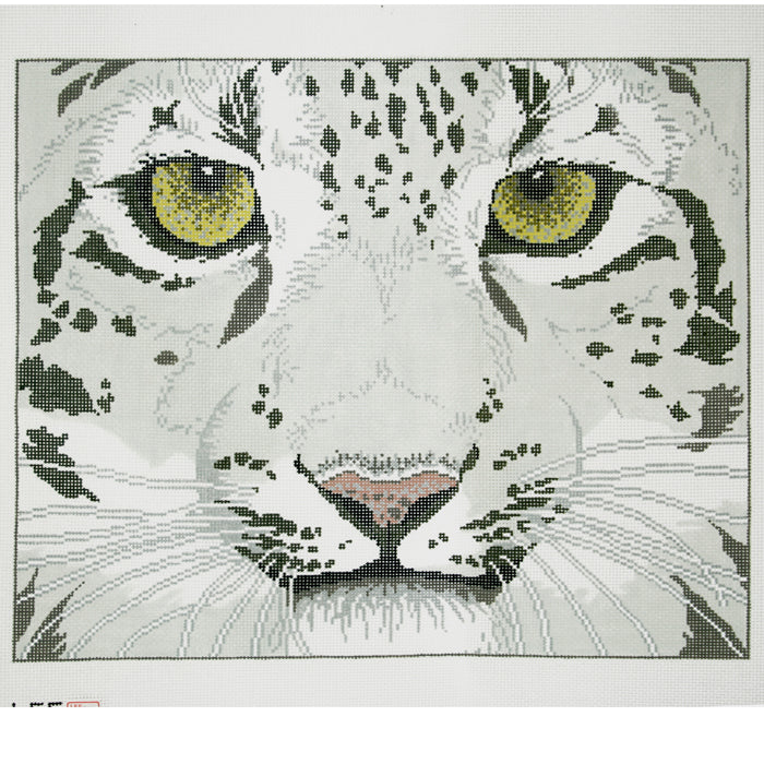 Snow Leopard