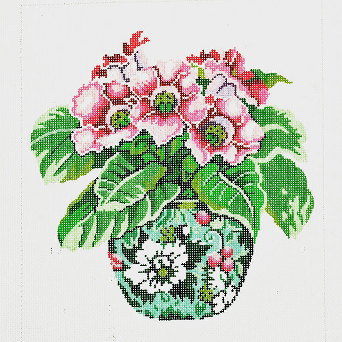 Vase with Gloxinias