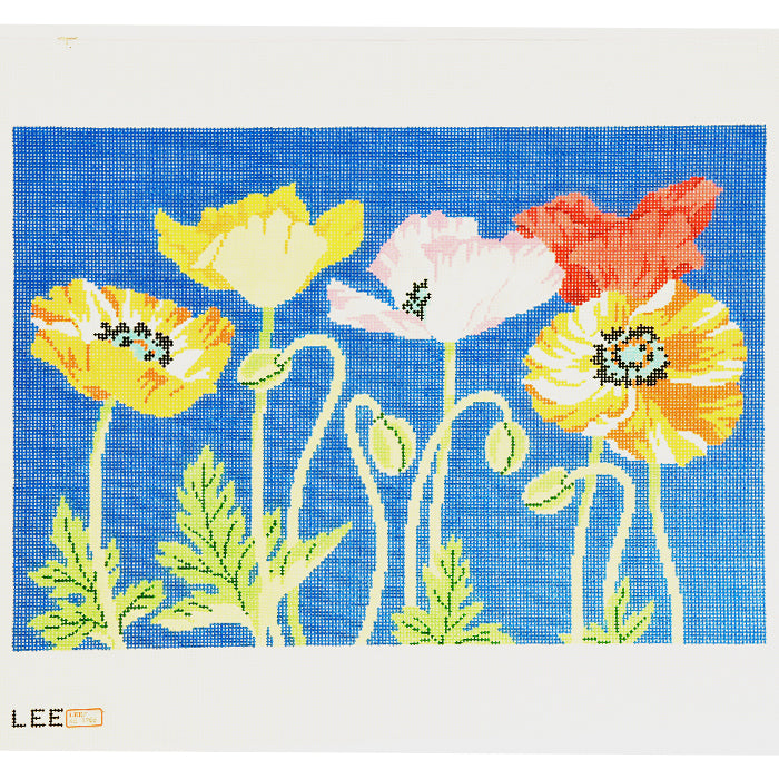 Poppies