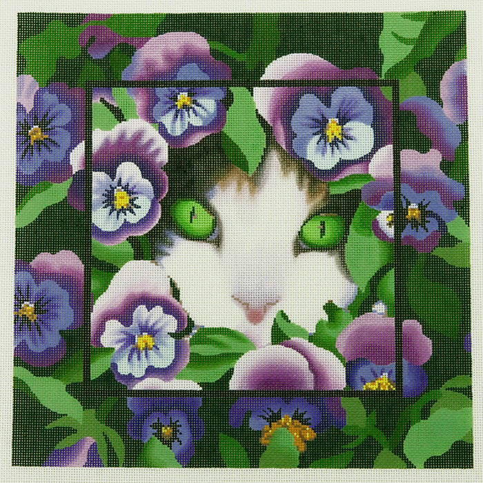 Purple Cat
