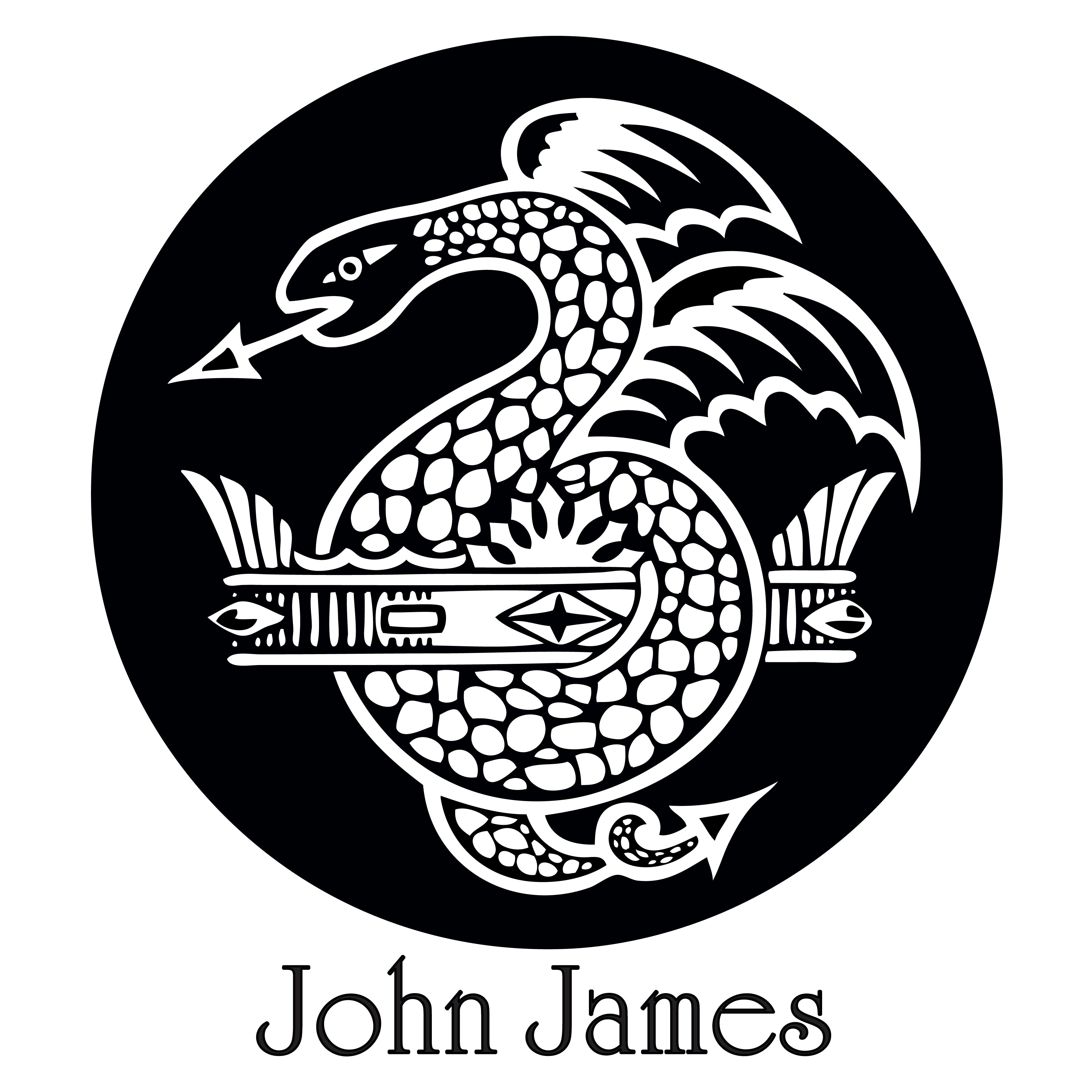 Colonial Needle (COM17) John James Platinum Tapestry Hand Needles, Size 22  2/Pkg