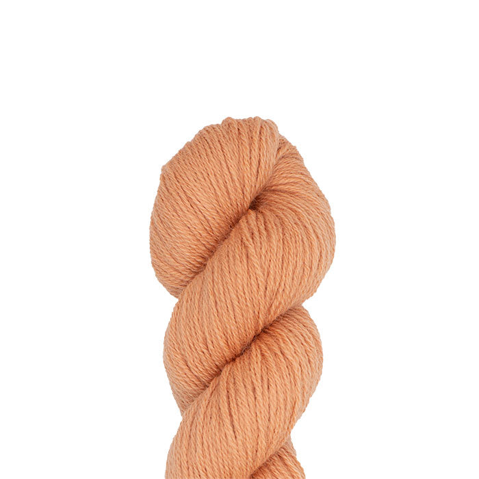 Colonial Persian Yarn - 855 Spice