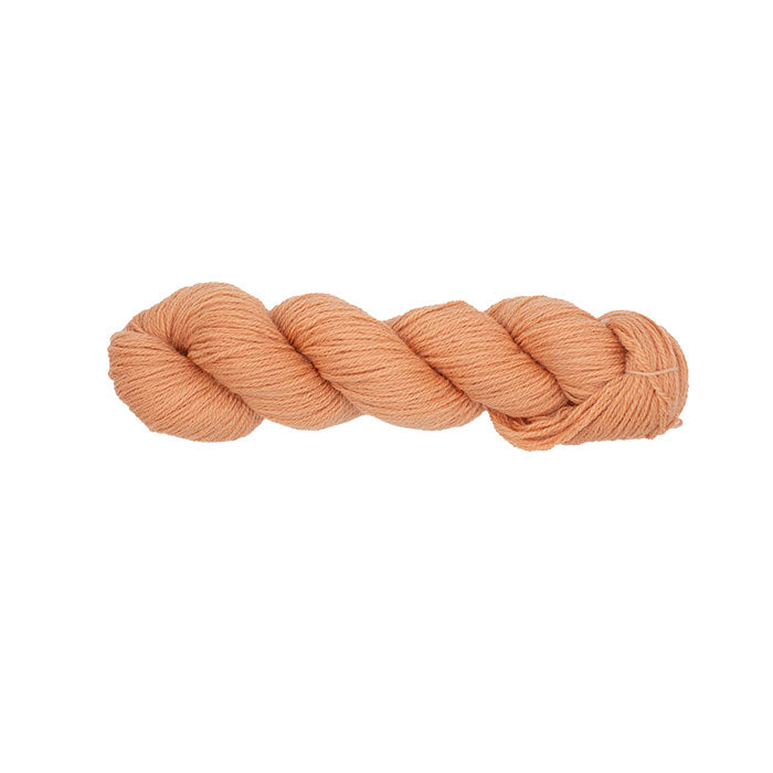 Colonial Persian Yarn - 855 Spice