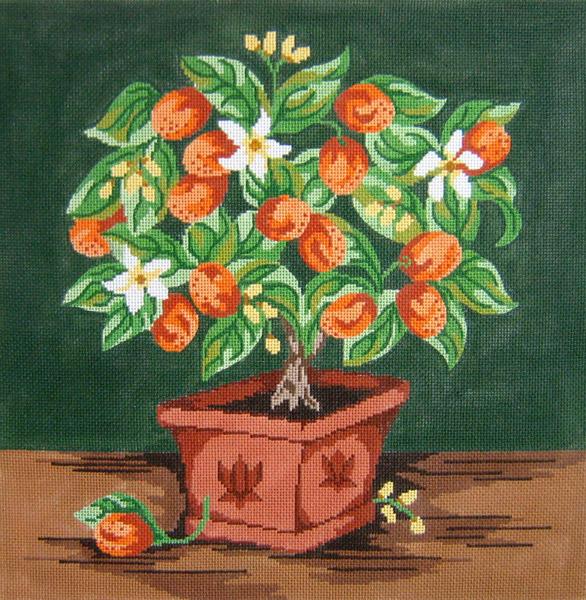 Kumquat Topiary