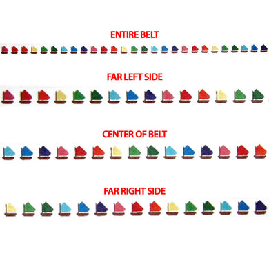 Rainbow Fleet Belt