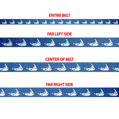 Nantucket Islands on Blue Belt