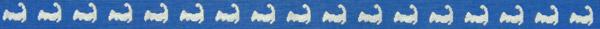 Cape Cod Logo on Blue Belt