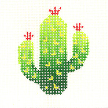 Cactus Beginner Kit