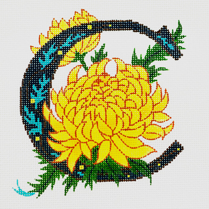 C-Chrysanthemum