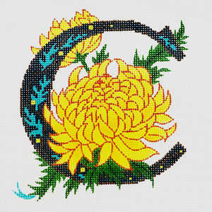 C-Chrysanthemum