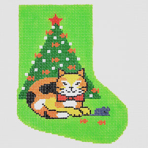 Calico Cat