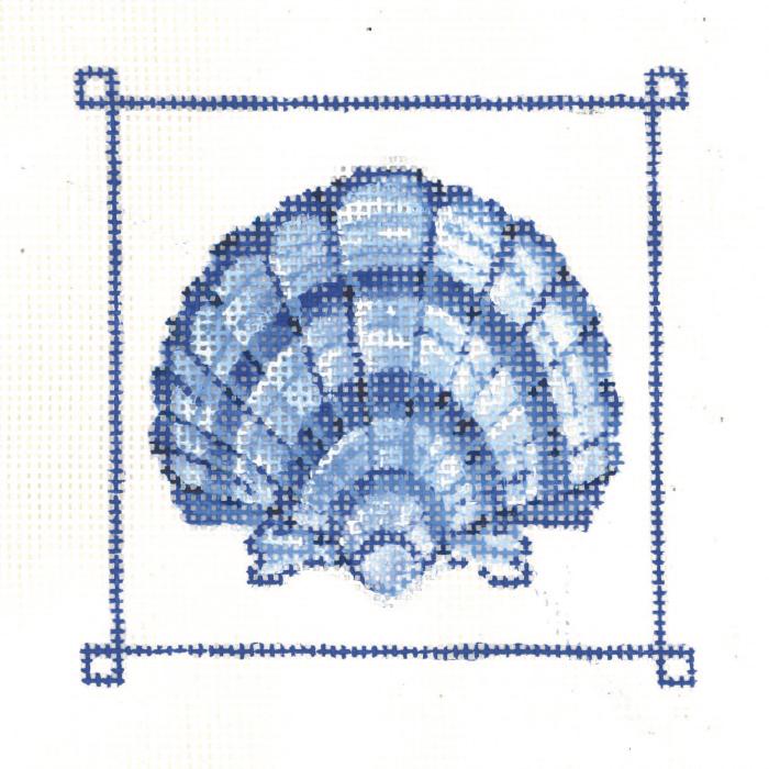 Blue Banded Scallop Shell