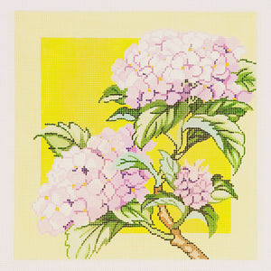 Hydrangea on Yellow