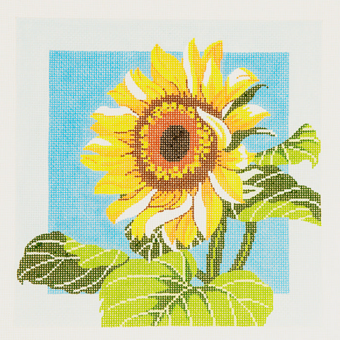 Sunflower on Blue