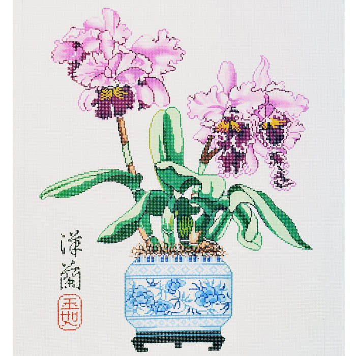 Orchid & Cattleya